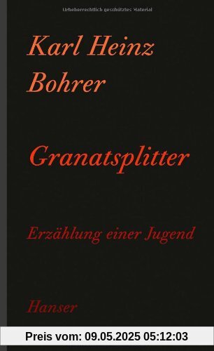 Granatsplitter: Eine Erzählung