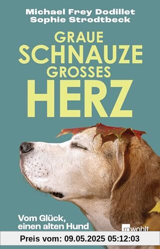 Graue Schnauze, großes Herz: Vom Glück, einen alten Hund zu haben