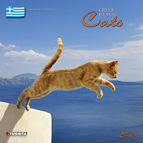Greek Island Cats 2024: Kalender 2024 (Wonderful World) von Tushita PaperArt
