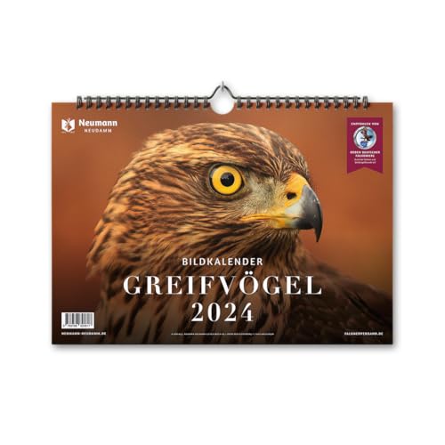 Greifvögel 2024: Themenkalender von J. Neumann-Neudamm Melsungen