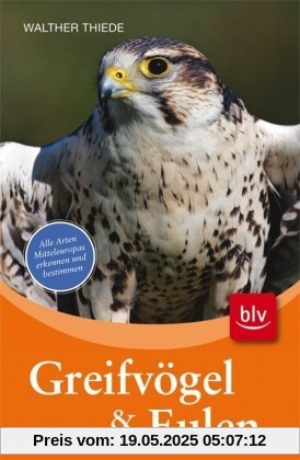 Greifvögel und Eulen: Alle Arten Mitteleuropas erkennen und bestimmen