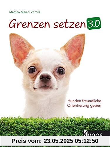Grenzen setzen 3.0: Hunden freundliche Orientierung geben