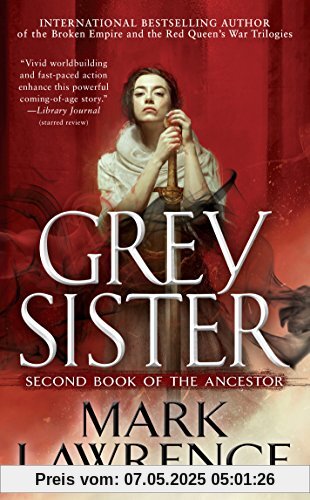 Grey Sister (Book of the Ancestor, Band 2)