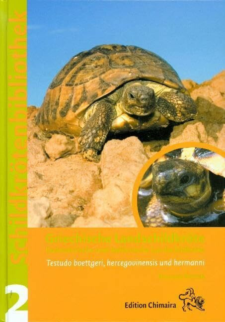 Griechische Landschildkröte (Testudo hermanni): Dalmatinische und italienische Landschildkröte...