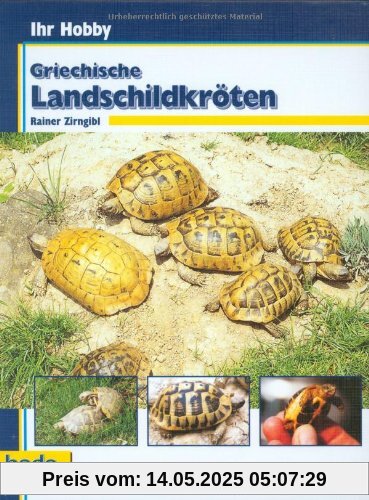 Griechische Landschildkröten, Ihr Hobby
