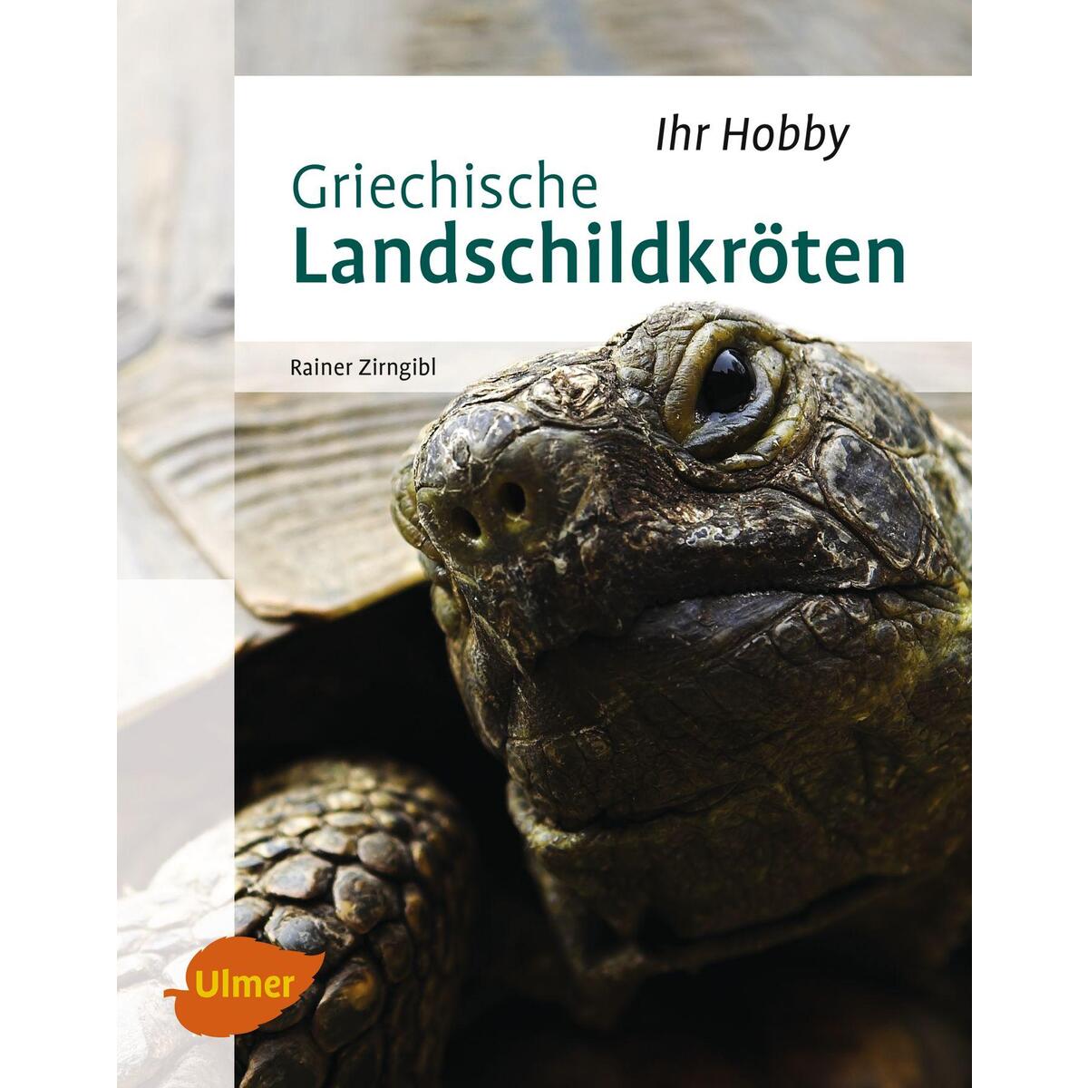 Griechische Landschildkröten von Ulmer Eugen Verlag