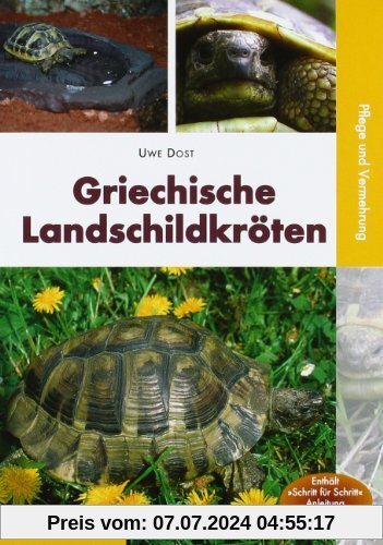 Griechische Landschildkröten: Pflege und Vermehrung