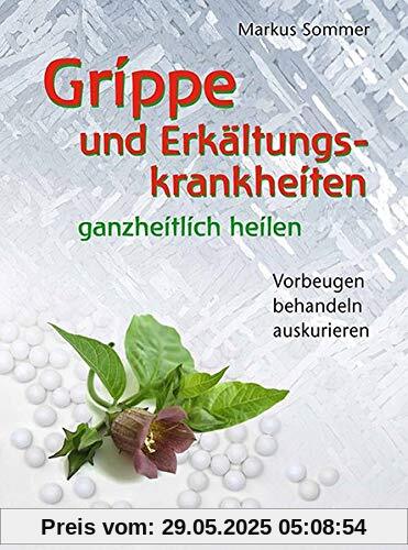 Grippe und Erkältungskrankheiten ganzheitlich heilen (aethera)