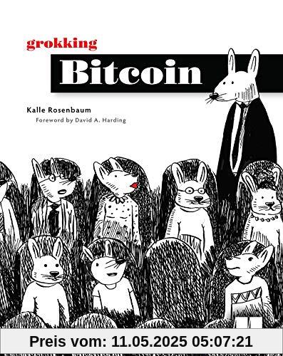 Grokking Bitcoin