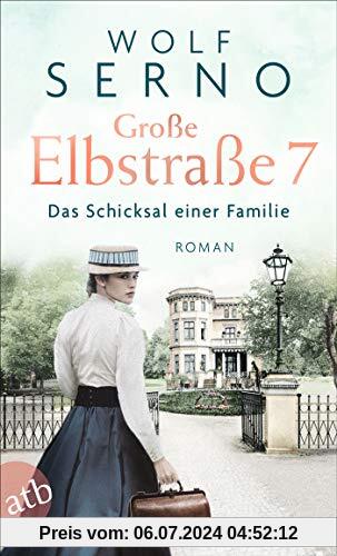 Große Elbstraße 7 - Das Schicksal einer Familie: Roman (Geschichte einer Hamburger Arztfamilie, Band 1)