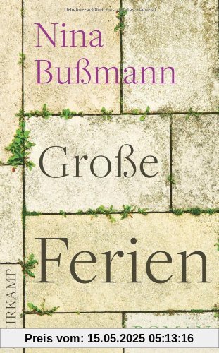 Große Ferien: Roman (suhrkamp taschenbuch)