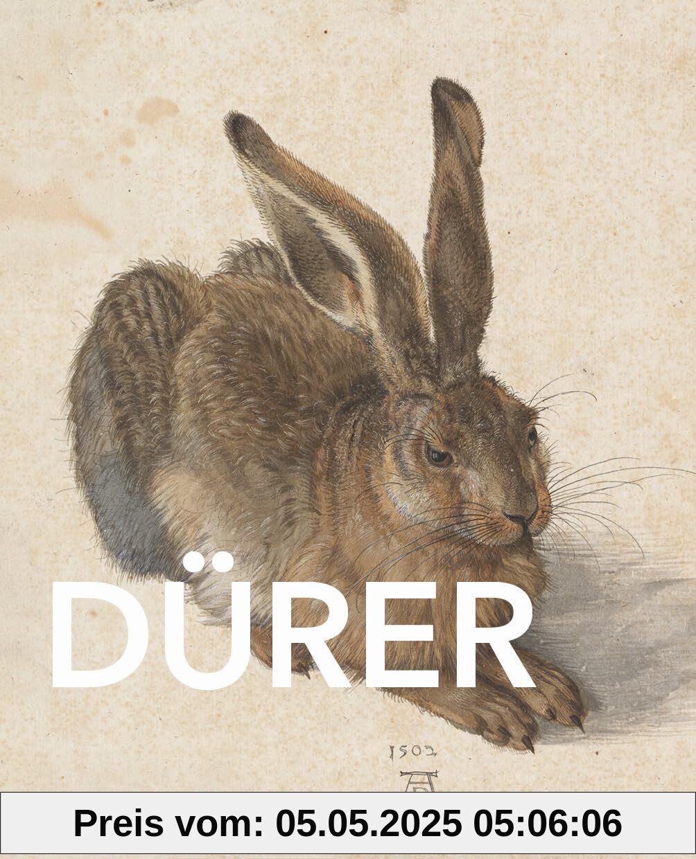 Große Meister der Kunst: Dürer: Große Meister der Kunst. Mit zahlreichen Farbabbildungen
