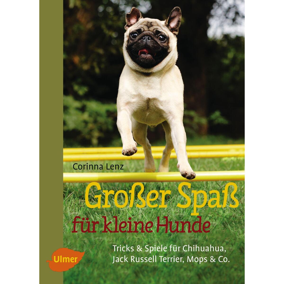 Großer Spaß für kleine Hunde Großer Spaß für kleine Hunde von Ulmer Eugen Verlag