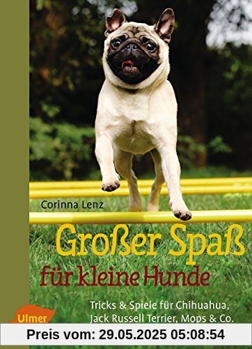 Großer Spaß für kleine Hunde: Tricks & Spiele für Chihuahua, Jack Russell Terrier, Mops & Co.