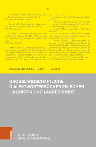 Großlandschaftliche Dialektwörterbücher zwischen Linguistik und Landeskunde (Niederdeutsche Studien: Schriftenreihe der Kommission für Mundart- und ... des Landschaftsverbandes Westfalen-Lippe)