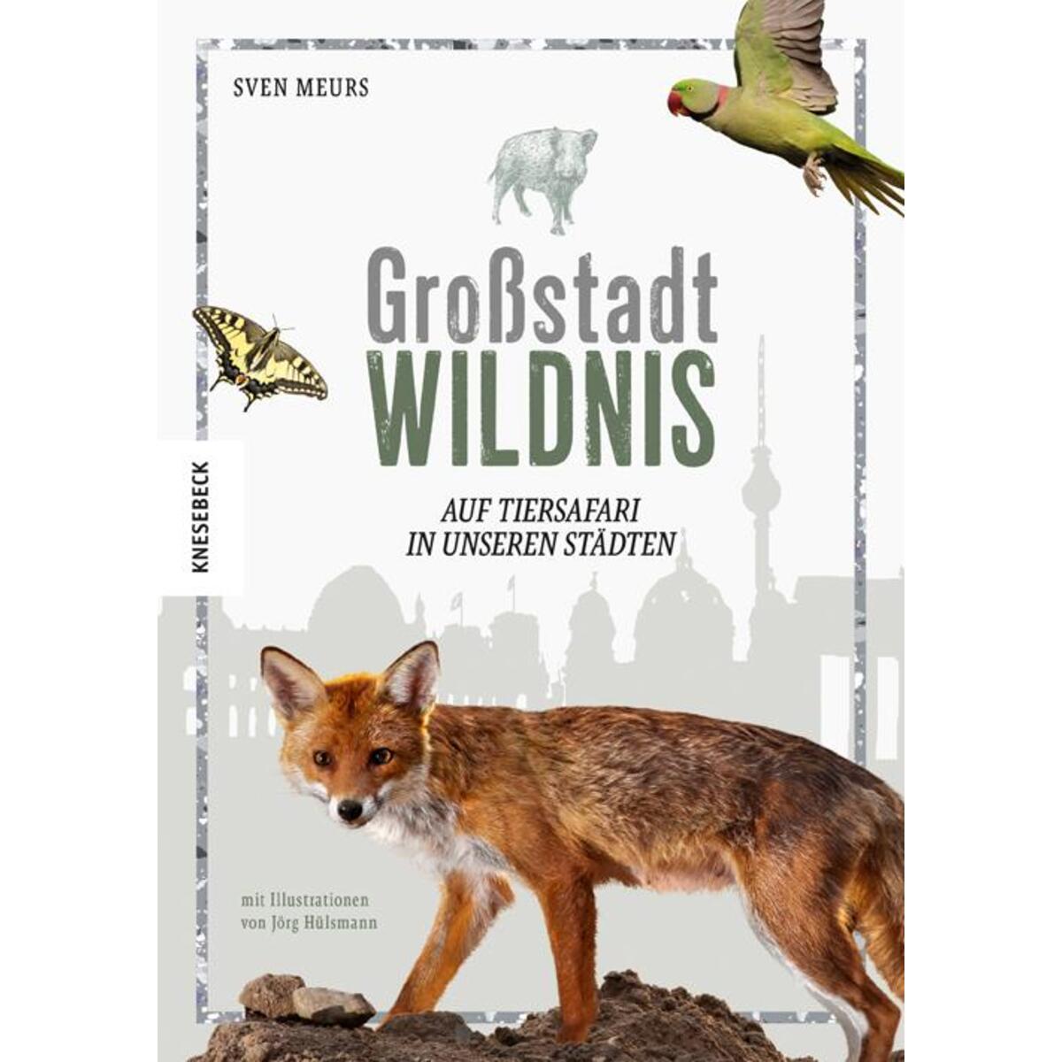 Großstadt Wildnis Großstadt Wildnis von Knesebeck Von Dem GmbH