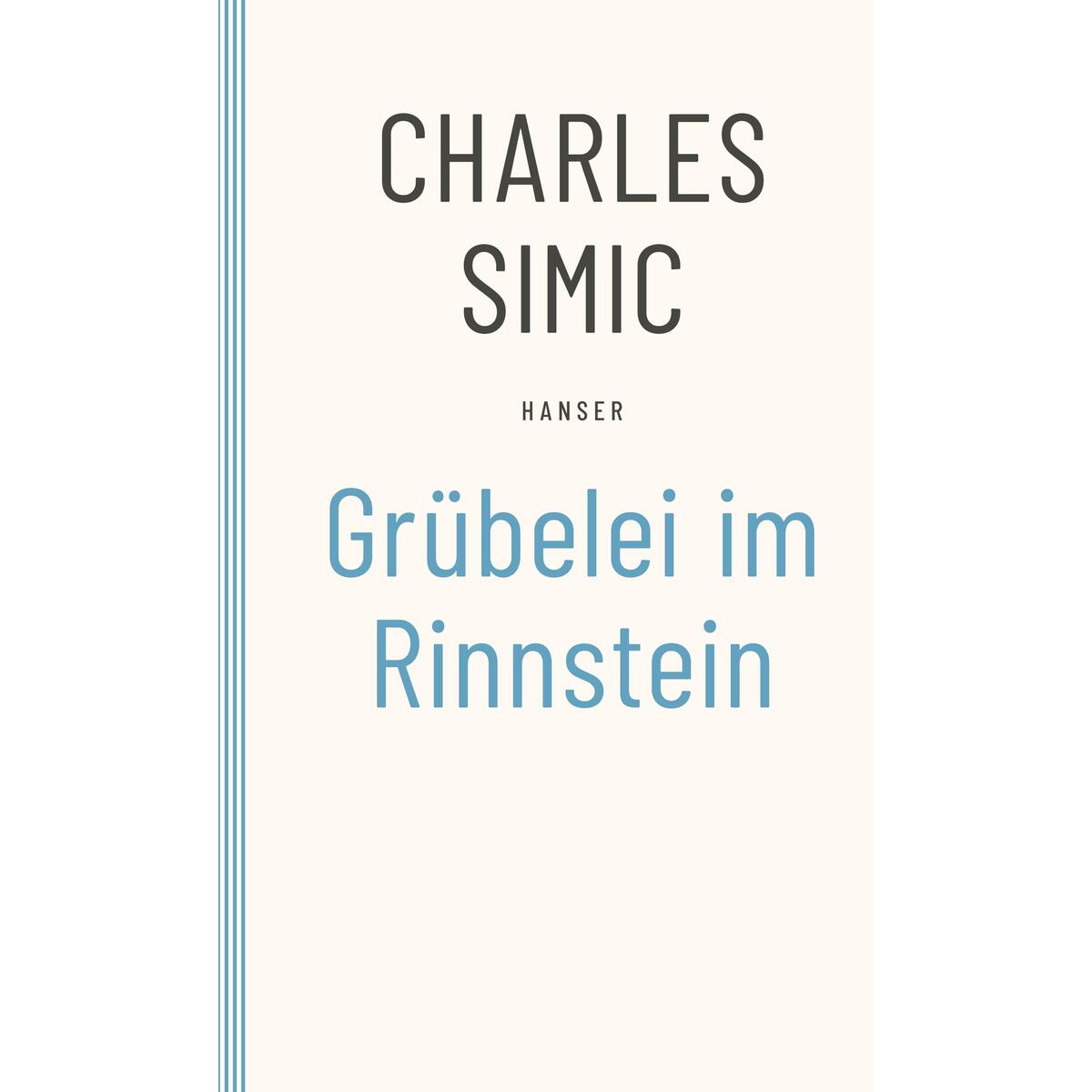 Grübelei im Rinnstein von Carl Hanser Verlag