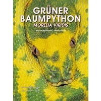 Grüner Baumpython