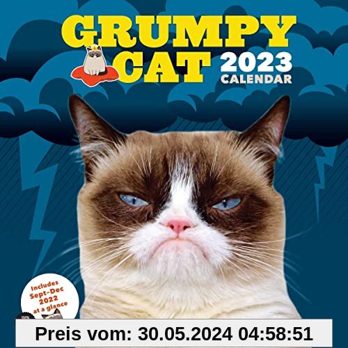 Grumpy Cat 2023 Wall Calendar