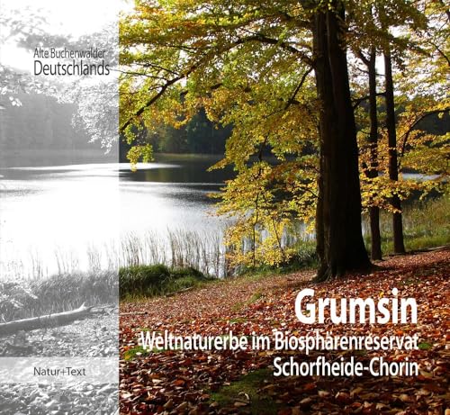 Grumsin: Weltnaturerbe im Biosphärenreservat Schorfheide-Chorin: Weltnaturuerbe im Biosphärenreservat Schorfheide-Chorin (Alte Buchenwälder Deutschlands) von Natur & Text