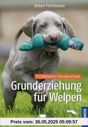 Grunderziehung für Welpen: Fichtlmeiers Hundeschule