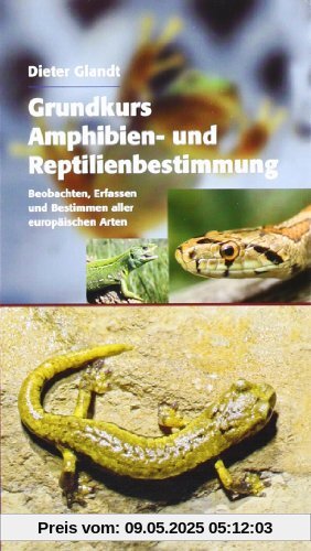 Grundkurs Amphibien- und Reptilienbestimmung: Beobachten, Erfassen und Bestimmen aller europäischen Arten Grundkurs Amphibien- und Reptilienbestimmung: Beobachten, Erfassen und Bestimmen aller europäischen Arten
