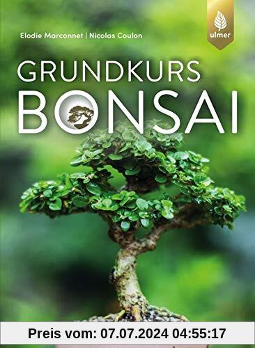 Grundkurs Bonsai