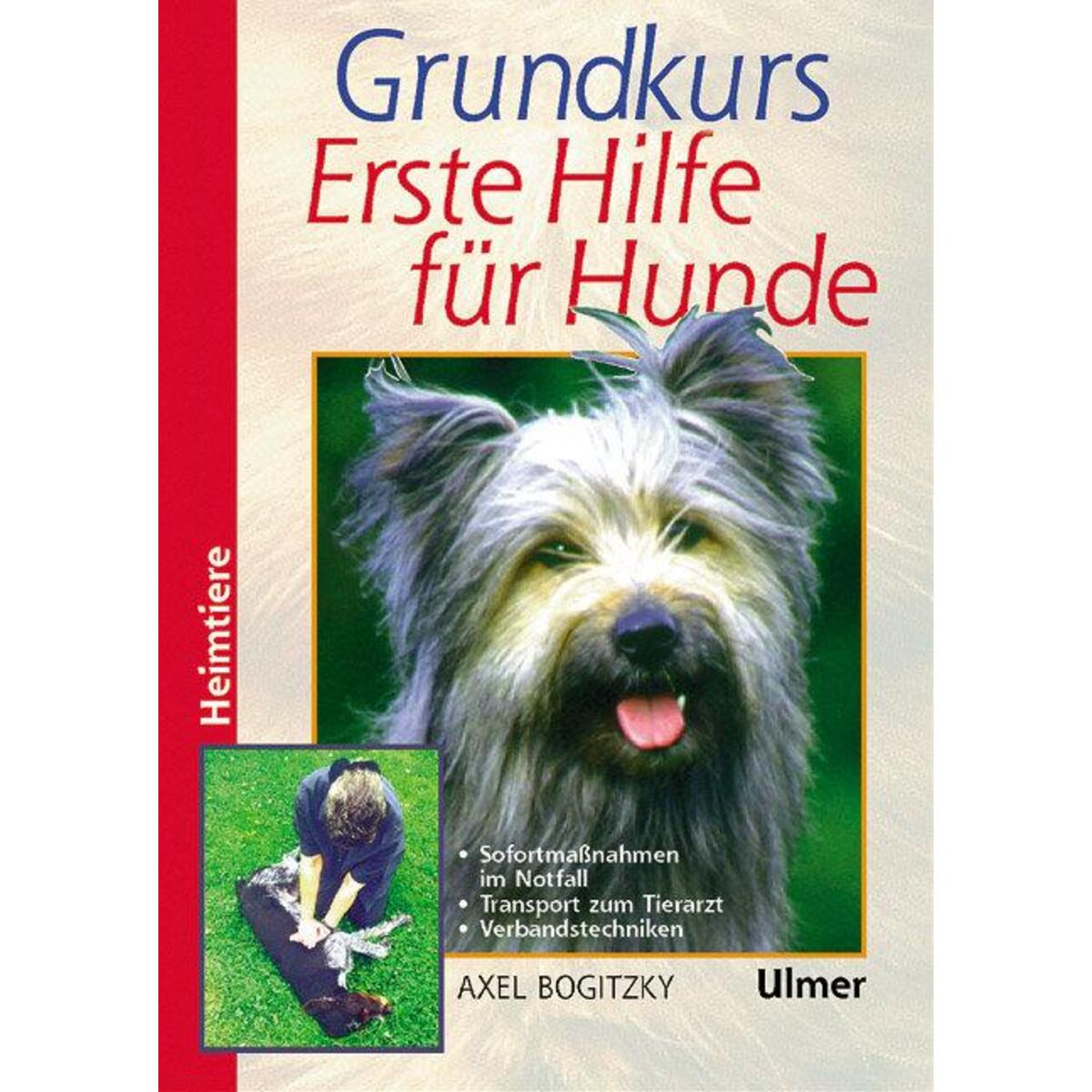 Grundkurs Erste Hilfe für den Hund Grundkurs Erste Hilfe für den Hund von Ulmer Eugen Verlag