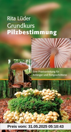 Grundkurs Pilzbestimmung. Eine Praxisanleitung für Anfänger und Fortgeschritte