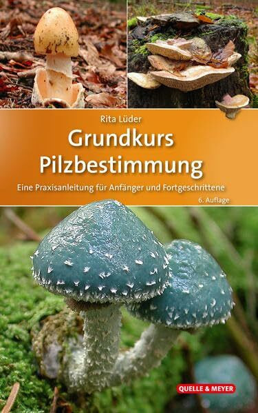 Grundkurs Pilzbestimmung: Eine Praxisanleitung für Anfänger und Fortgeschrittene (Quelle & Mey...