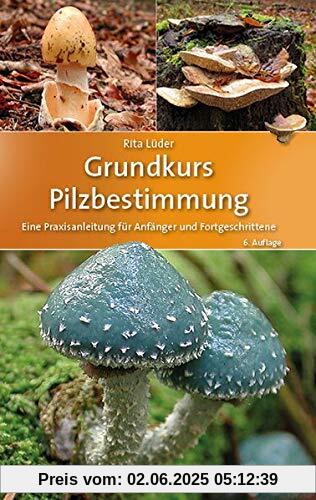 Grundkurs Pilzbestimmung: Eine Praxisanleitung für Anfänger und Fortgeschrittene Grundkurs Pilzbestimmung: Eine Praxisanleitung für Anfänger und Fortgeschrittene