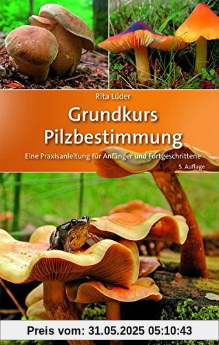 Grundkurs Pilzbestimmung: Eine Praxisanleitung für Anfänger und Fortgeschrittene