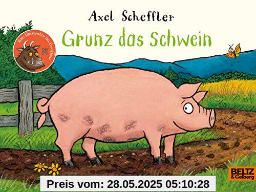 Grunz das Schwein: Vierfarbiges Pappbilderbuch