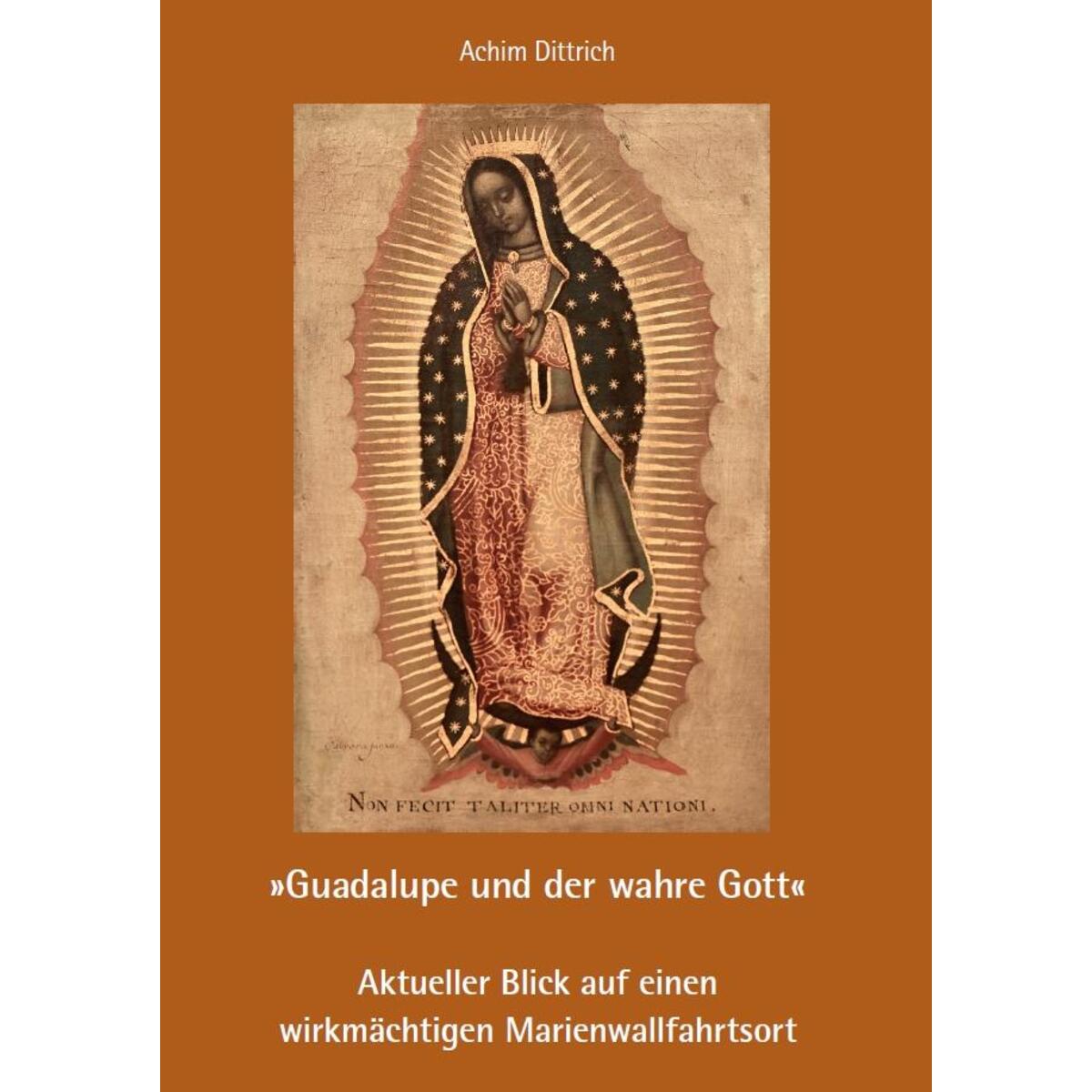 "Guadalupe und der wahre Gott" - Aktueller Blick auf einen wirkmächtigen Marienw... "Guadalupe und der wahre Gott" - Aktueller Blick auf einen wirkmächtigen Marienw... von Fink Kunstverlag Josef