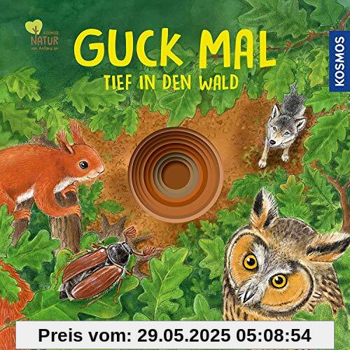 Guck mal tief in den Wald
