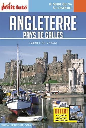 Guide Angleterre - Pays de Galles 2018 Carnet Petit Futé (2018) von PETIT FUTE