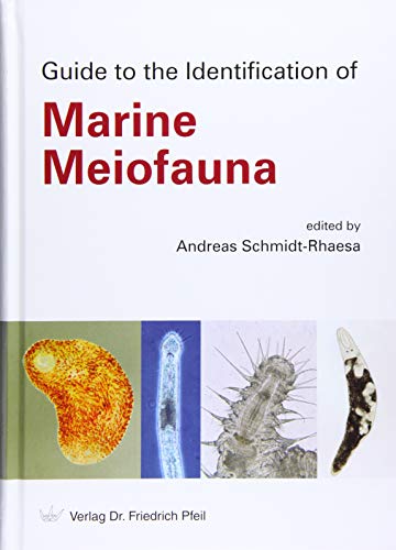 Guide to the Identification of Marine Meiofauna von Pfeil, Dr. Friedrich