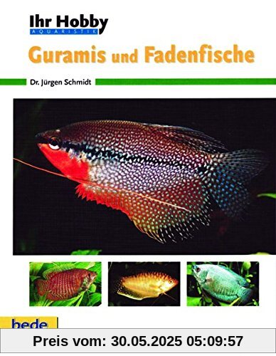 Guramis und Fadenfische, Ihr Hobby