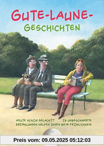 Gute-Laune-Geschichten (dtv großdruck)