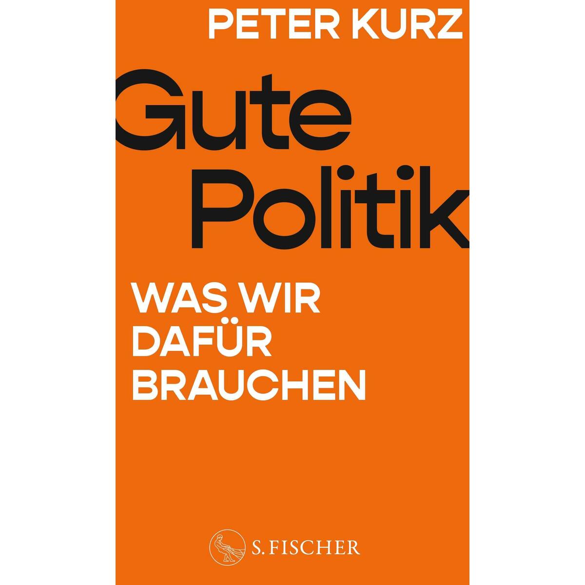 Gute Politik von FISCHER, S.