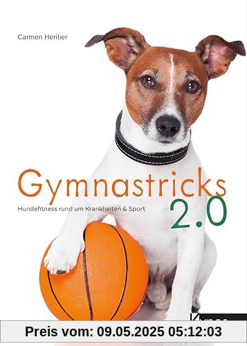Gymnastricks 2.0: Hundefitness rund um Krankheit & Sport: Hundefitness rund um Krankheit & Sport