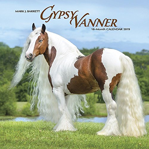 Gypsy Vanner 2019 Calendar von Willow Creek Press