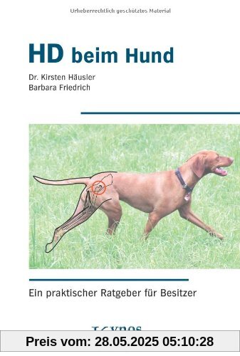 HD beim Hund: Ein praktischer Ratgeber für Besitzer