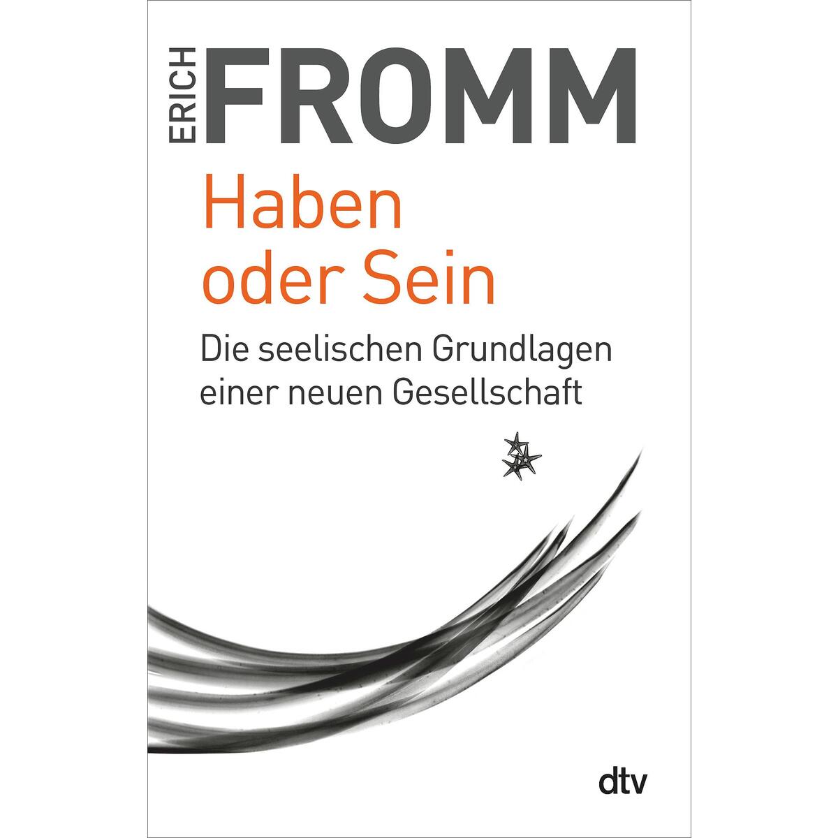 Haben oder Sein von dtv Verlagsgesellschaft