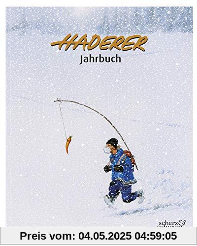 Haderer Jahrbuch 14 (2021): Nr. 14 (Haderer Jahrbücher)
