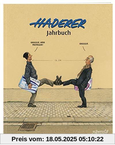 Haderer Jahrbuch: Nr. 13 (Haderer Jahrbücher)