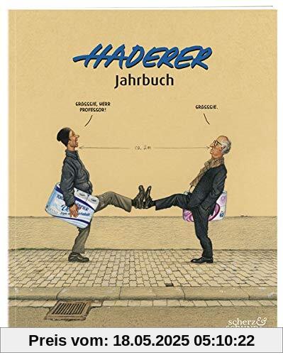 Haderer Jahrbuch: Nr. 13 (Haderer Jahrbücher)