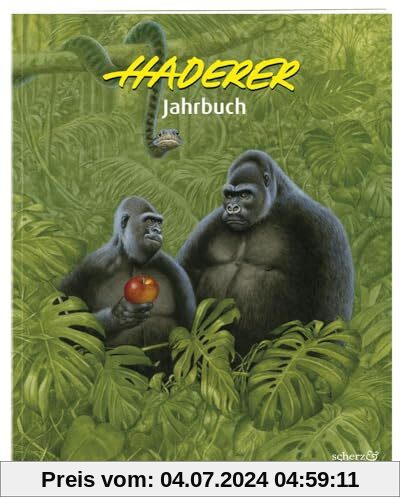 Haderer Jahrbuch: Nr. 16 (Haderer Jahrbücher)