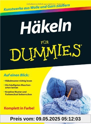 Häkeln für Dummies (Fur Dummies)