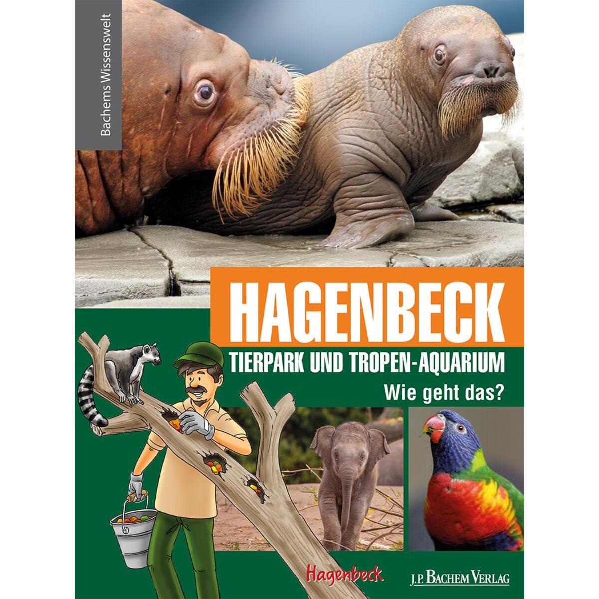 Hagenbeck Tierpark und Tropen-Auqarium - Wie geht das? von Bachem J.P. Verlag